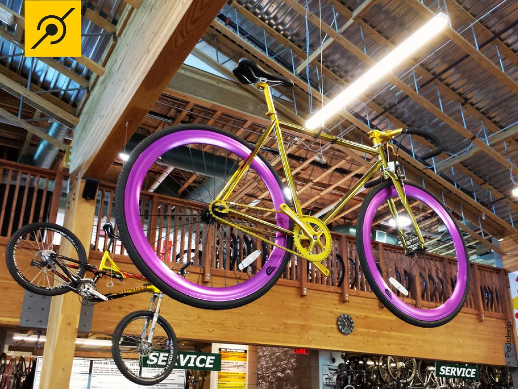 Bike fixa