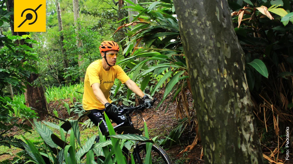 Trilha de mountain bike.