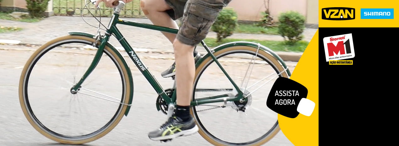 Cubo Shimano Nexus na bicicleta urbana